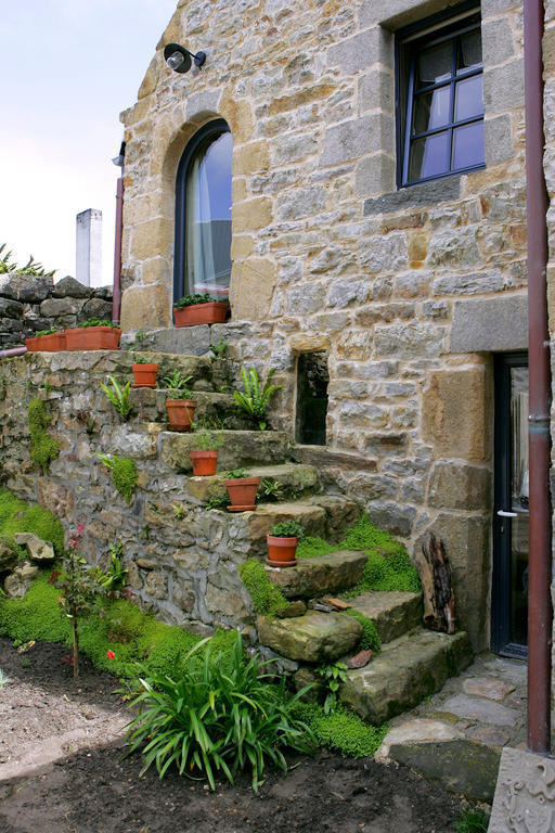 Le Magasin A Sel Bed and Breakfast Crozon Eksteriør billede